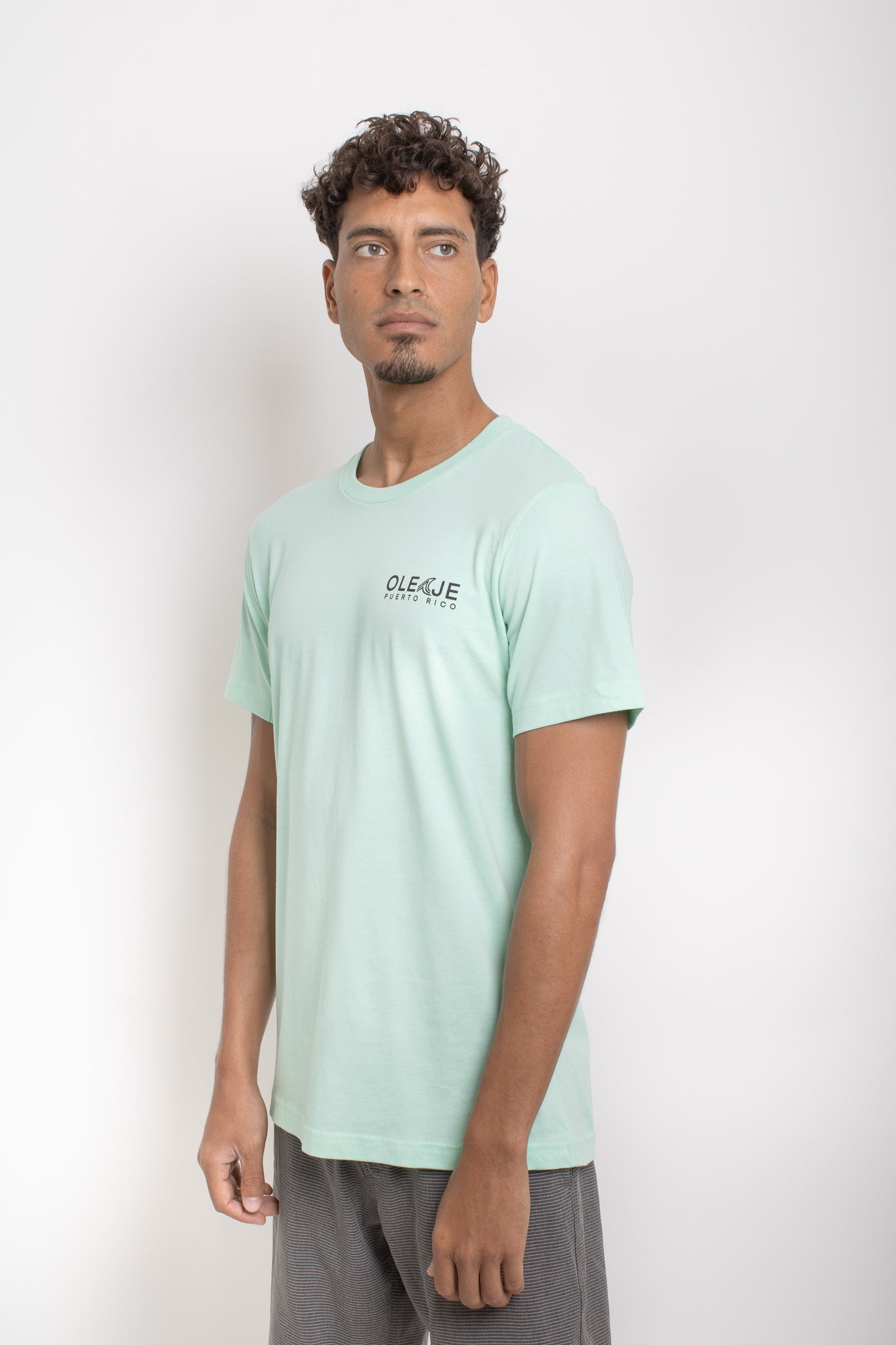 Playa Santa Mint Tee