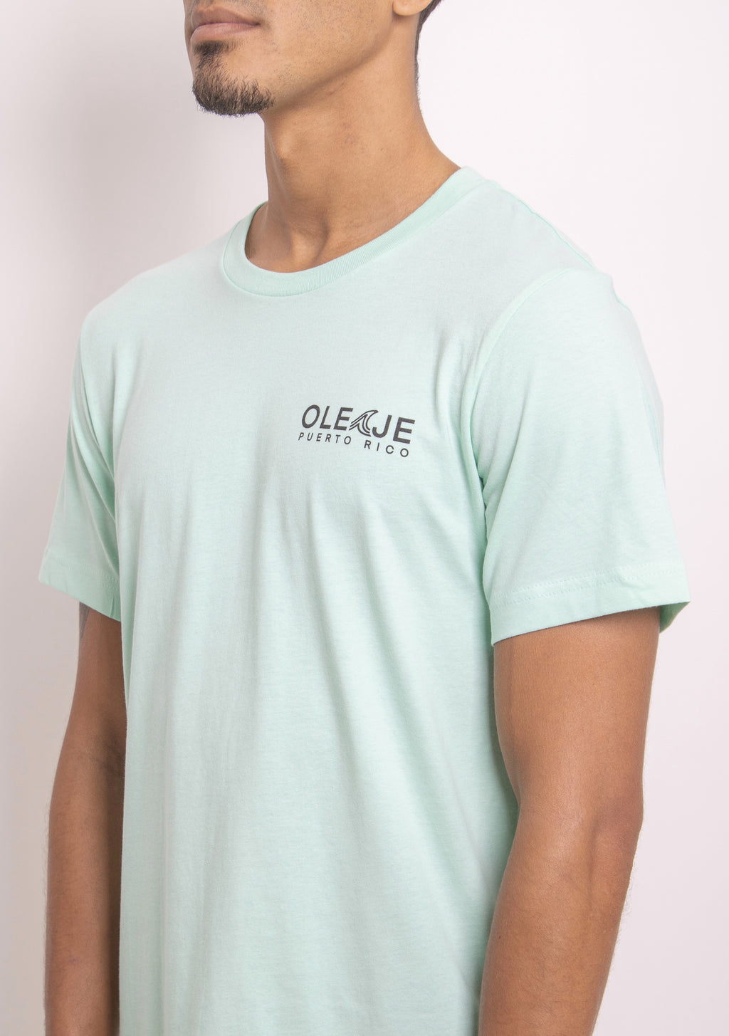 Playa Santa Mint Tee