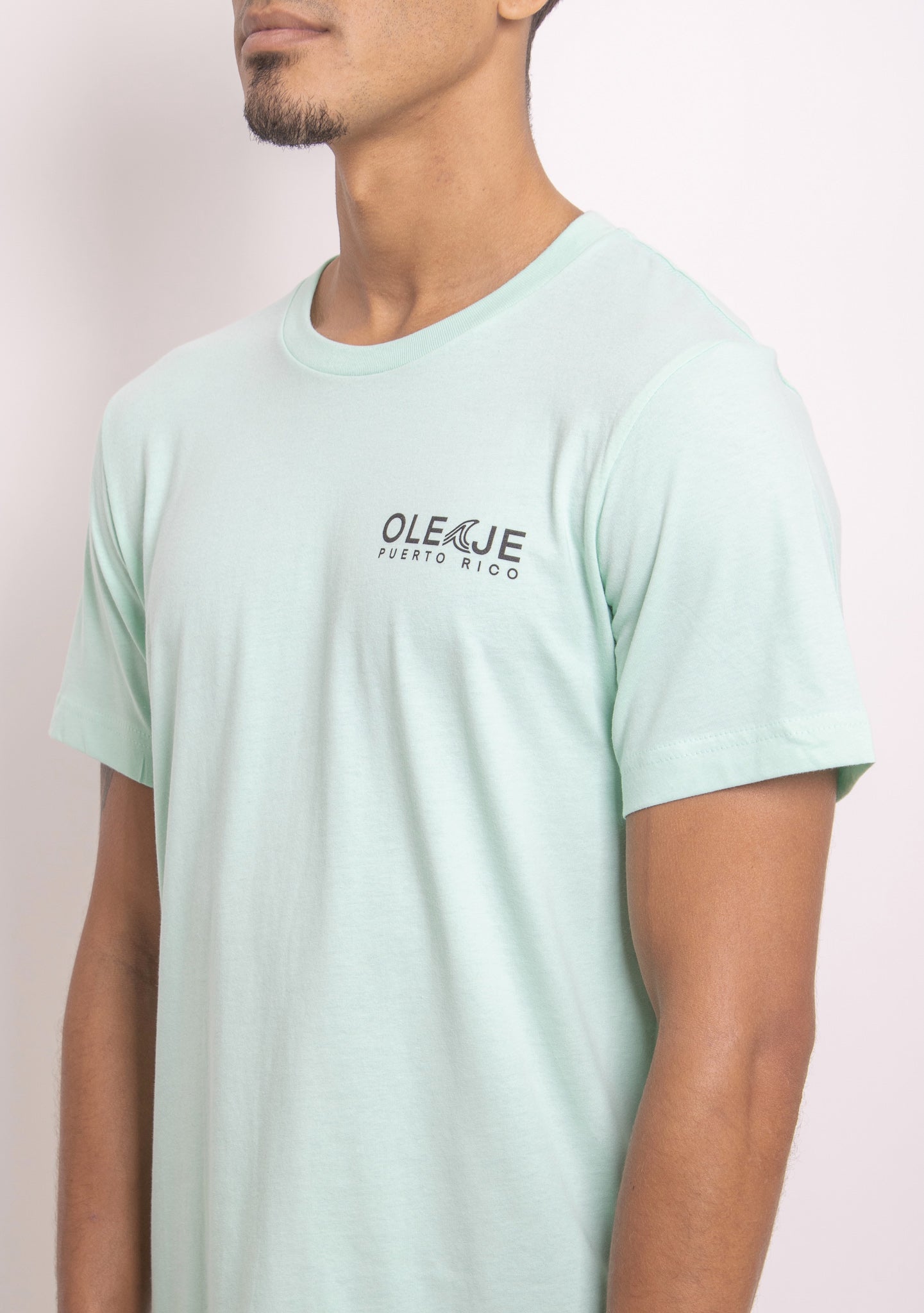 Playa Santa Mint Tee