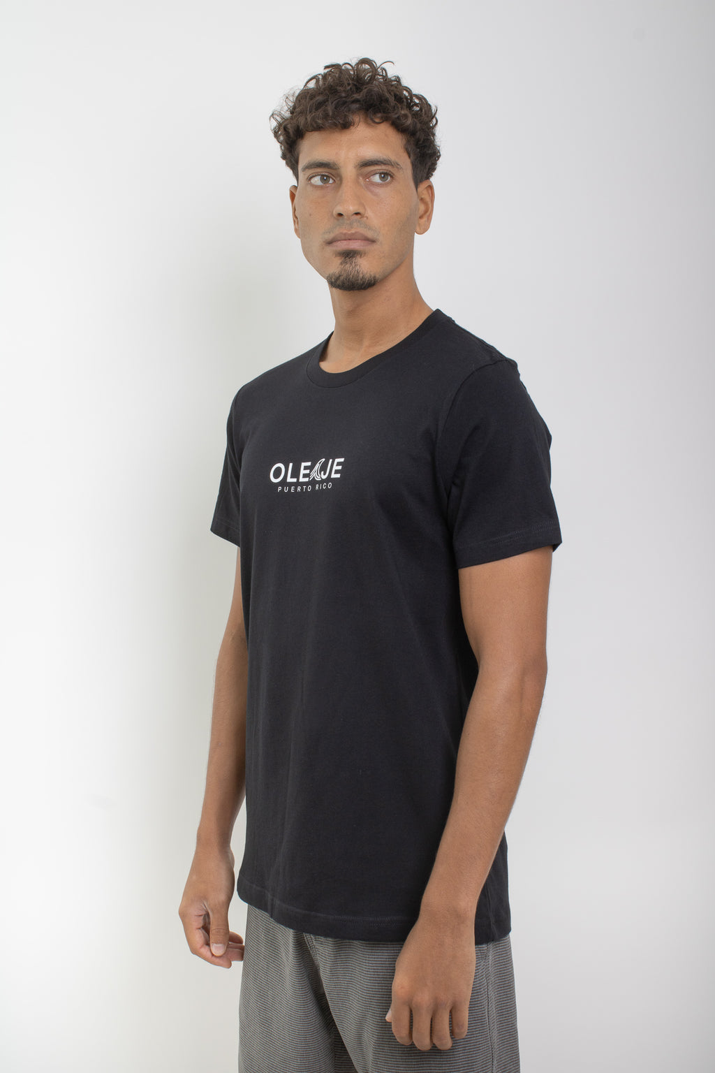 Bandera Palm Tee