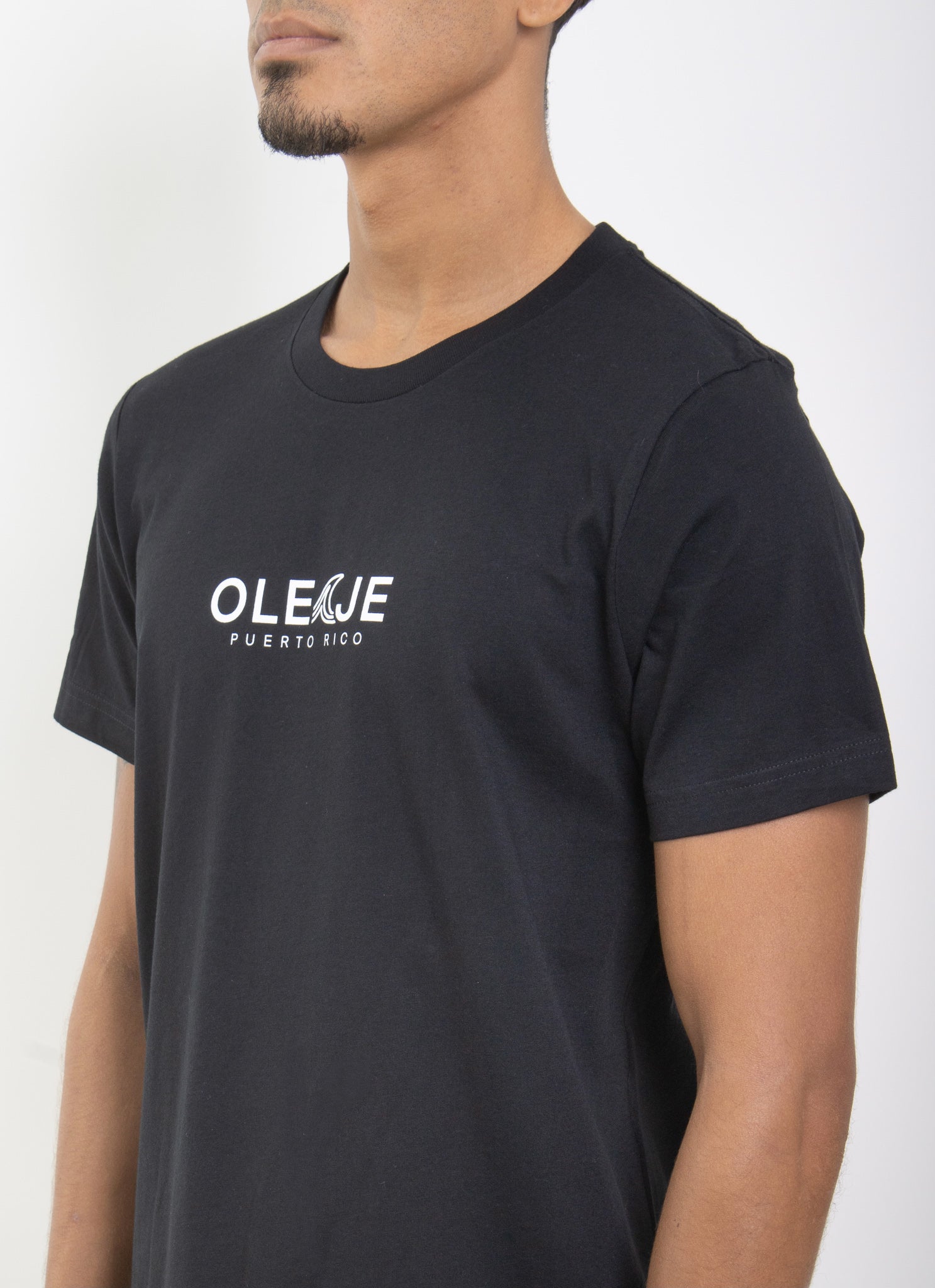 Bandera Palm Tee