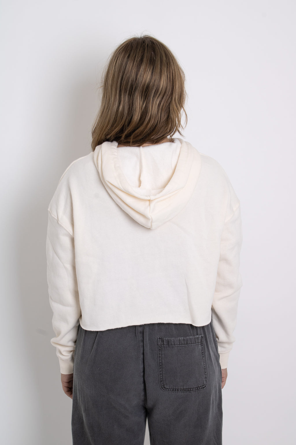 Pine Grove Beach Crop Hoodie