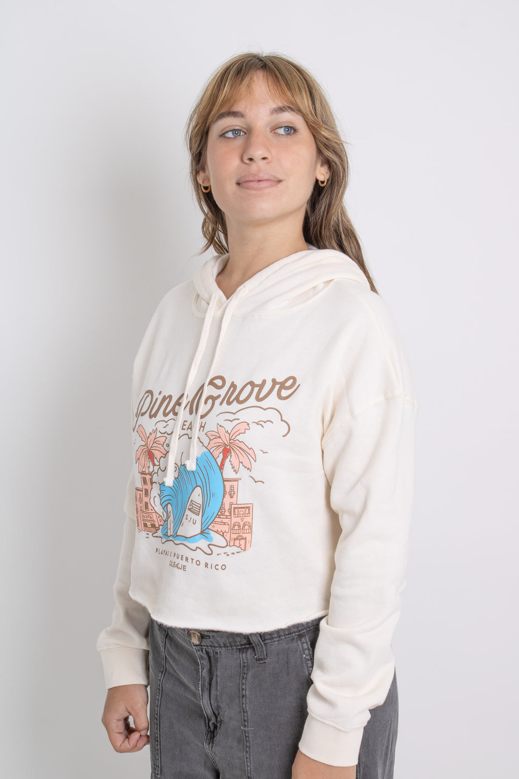 Pine Grove Beach Crop Hoodie