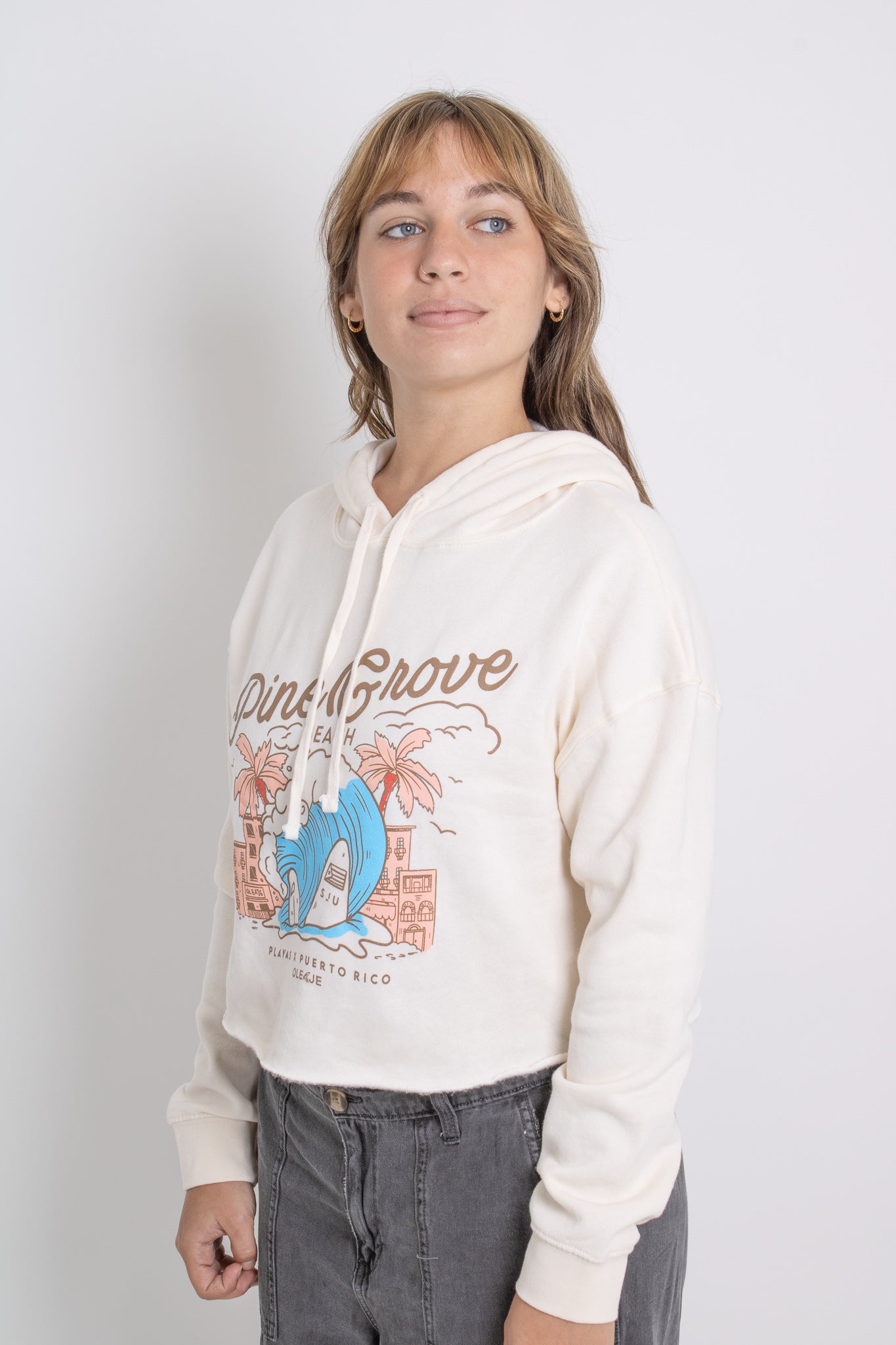 Pine Grove Beach Crop Hoodie